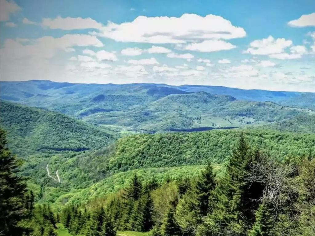 Enjoy The Long Range View, Ski In N Out Top Of The Mountain Condo Snowshoe Exterior foto